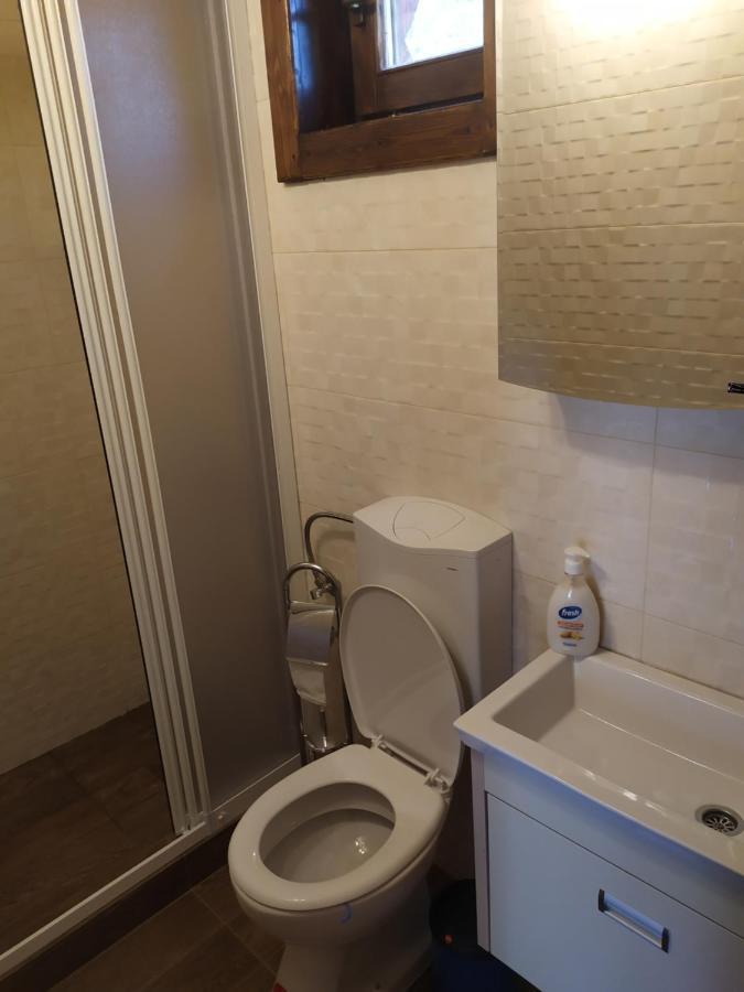 Brvnare Park Borova Villa ซลาตีบอร์ ภายนอก รูปภาพ