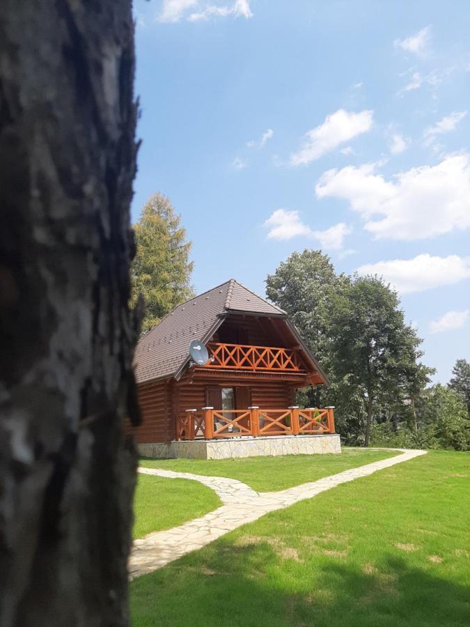 Brvnare Park Borova Villa ซลาตีบอร์ ภายนอก รูปภาพ