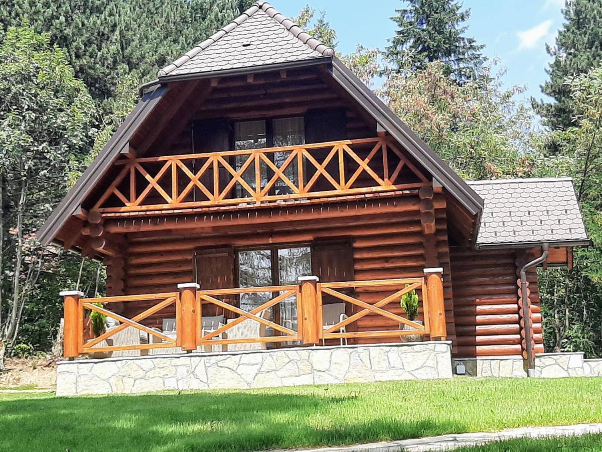 Brvnare Park Borova Villa ซลาตีบอร์ ภายนอก รูปภาพ