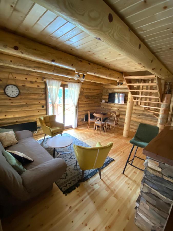 Brvnare Park Borova Villa ซลาตีบอร์ ภายนอก รูปภาพ